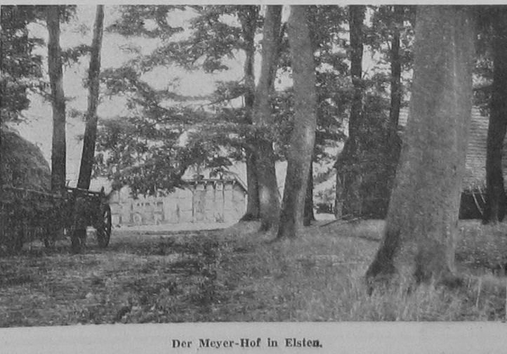 Meyer-Elsten